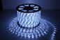IP65 Low Voltage LED Strip Lighting Holiday Multi Color Rope Lights 25pcs Bulbs